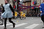 Gara delle Bighe 2011-7766
